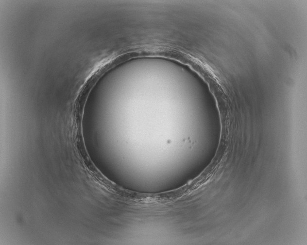 X0000116161160200912071318