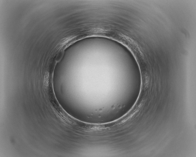 X0000116161161200912071318