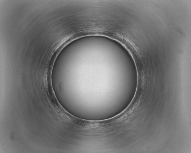 X0000116161162200912071318