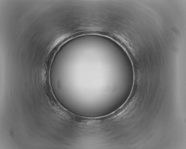 X0000116161163200912071318