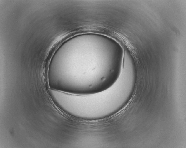 X0000116161164200912071318