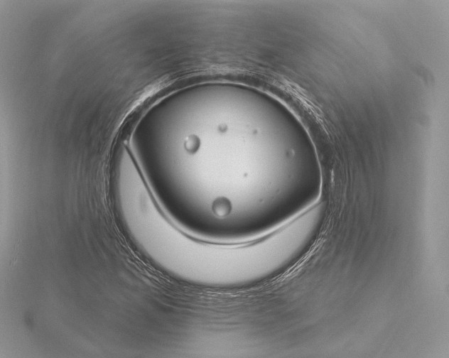 X0000116161165200912071318