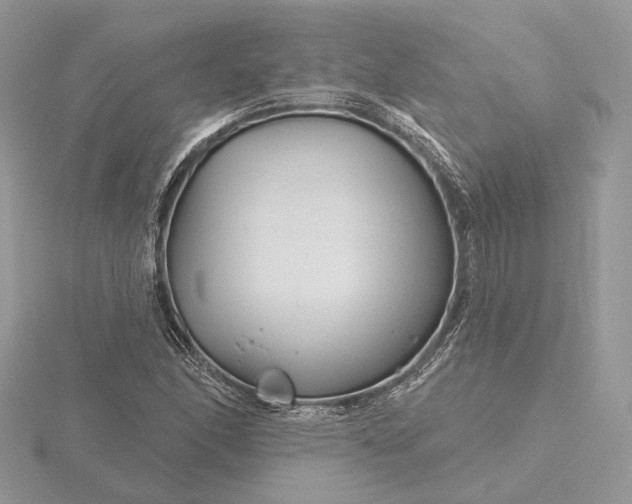 X0000116161166200912071318