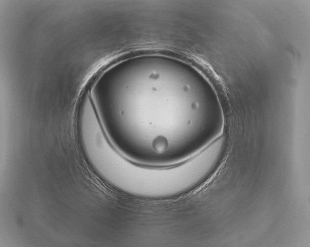 X0000116161167200912071318