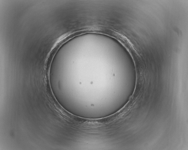 X0000116161168200912071318