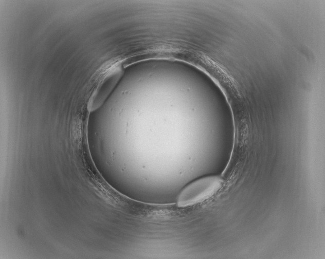 X0000116161169200912071318