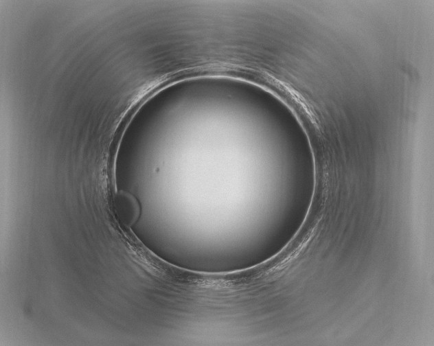 X0000116161170200912071318