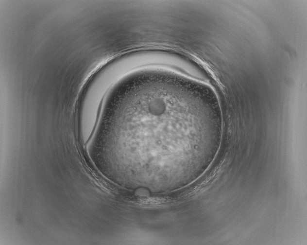 X0000116161171200912071318