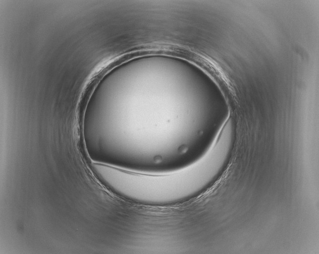 X0000116161172200912071318