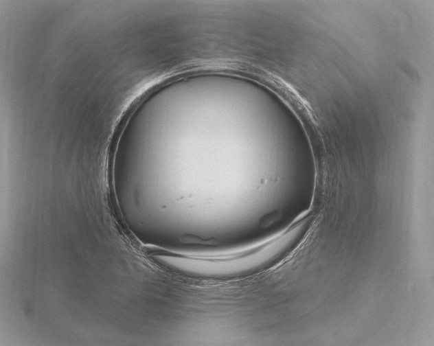 X0000116161174200912071318