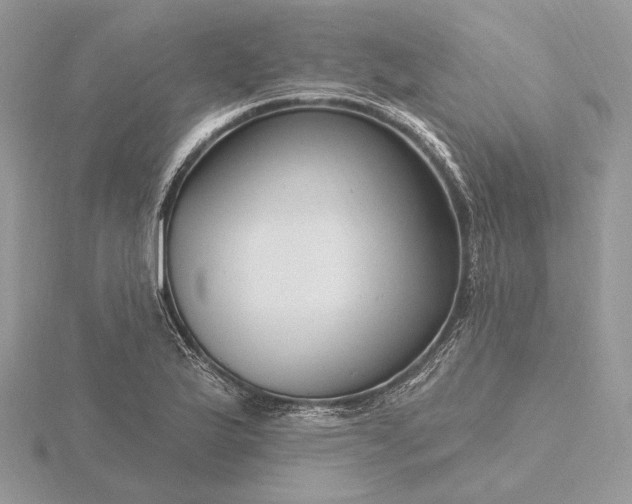 X0000116161175200912071318