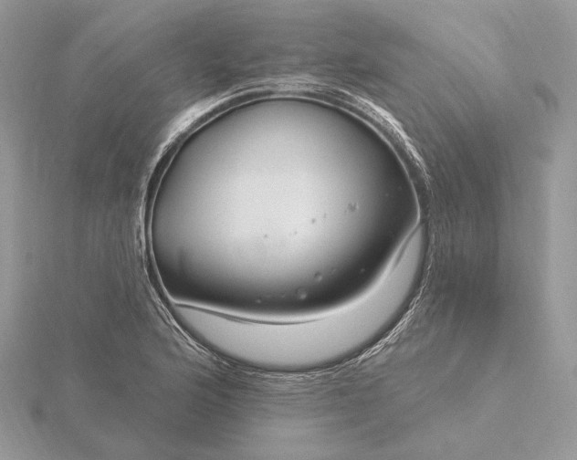 X0000116161176200912071318