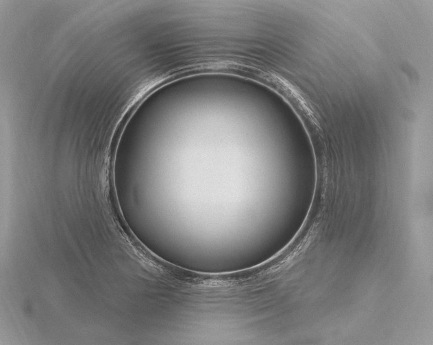 X0000116161178200912071318