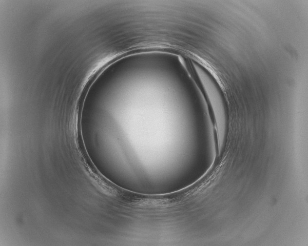 X0000116161179200912071318