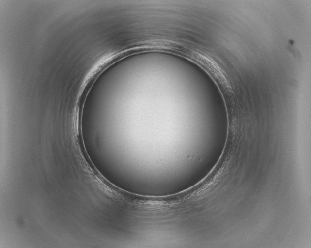 X0000116161180200912071318