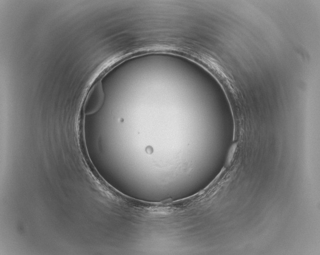 X0000116161181200912071318