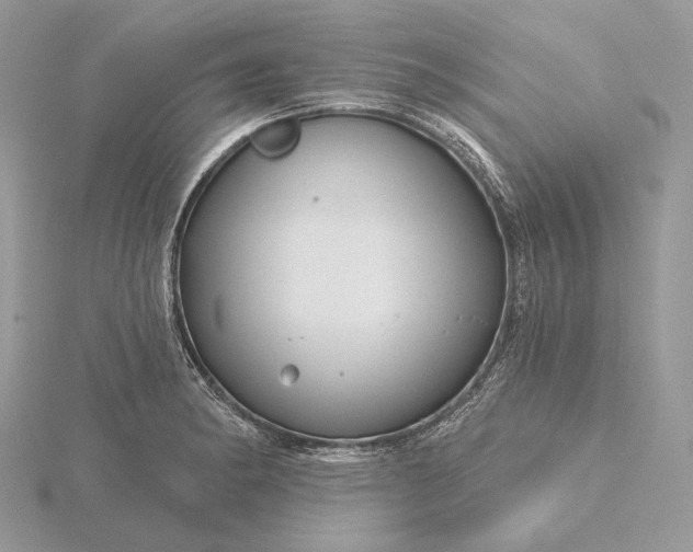 X0000116161182200912071318