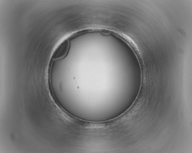 X0000116161183200912071318