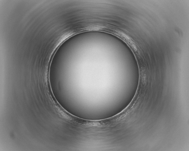 X0000116161186200912071318