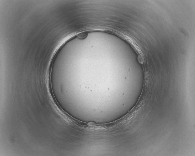 X0000116161187200912071318