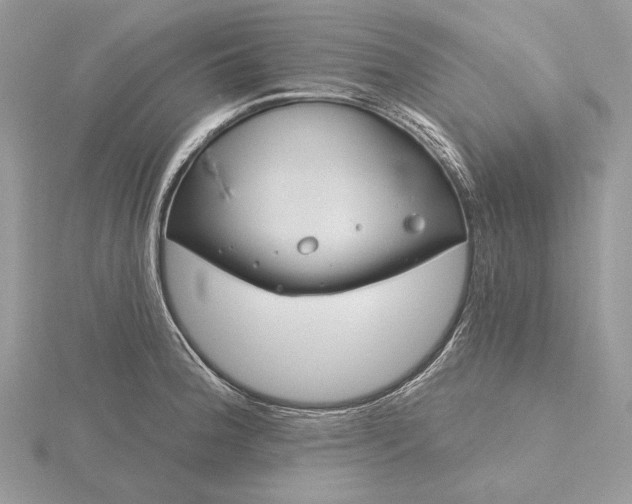 X0000116161188200912071318