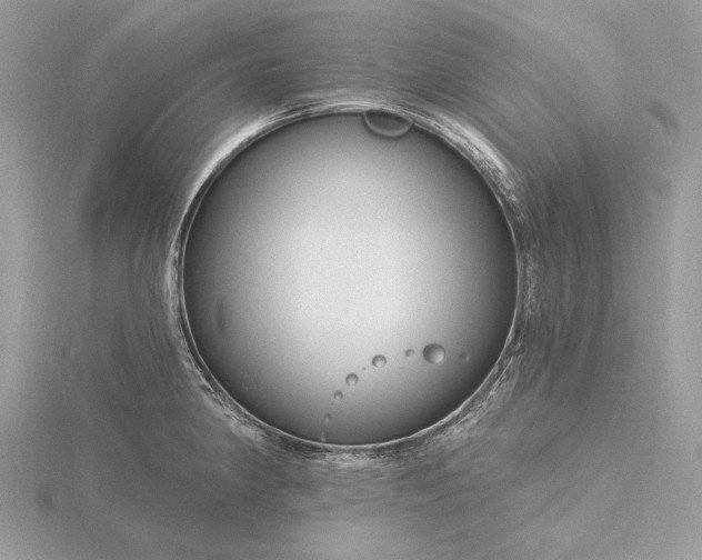 X0000116161190200912071318