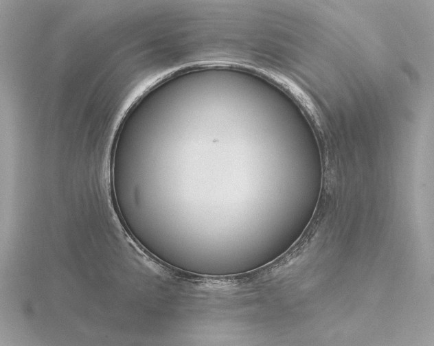 X0000116161191200912071318