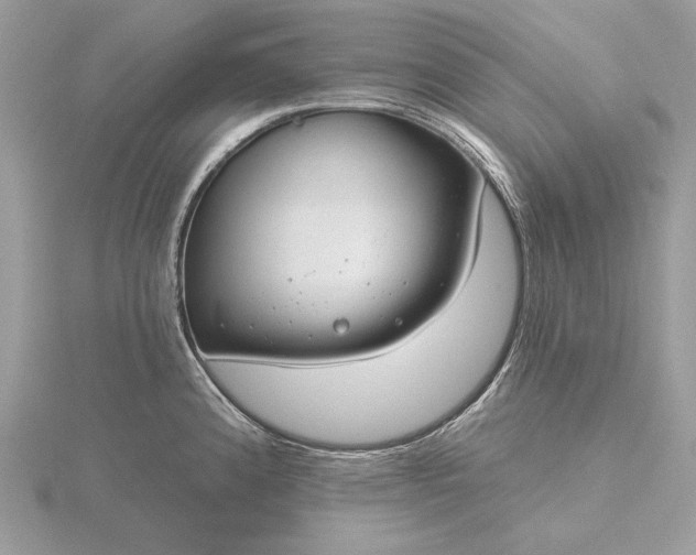 X0000116161192200912071318