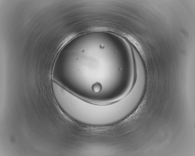 X0000116161193200912071318