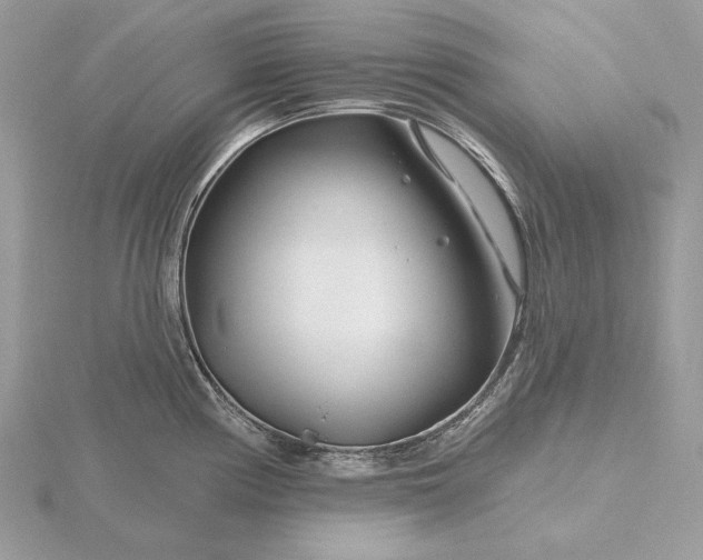 X0000116161194200912071318