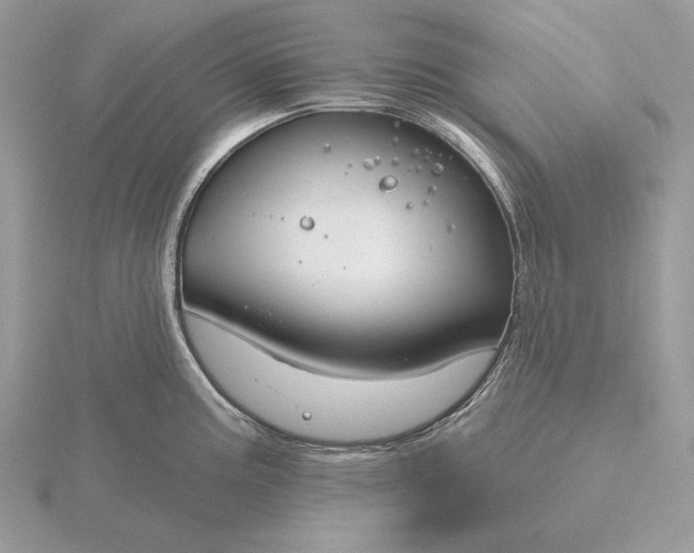 X0000116161195200912071318