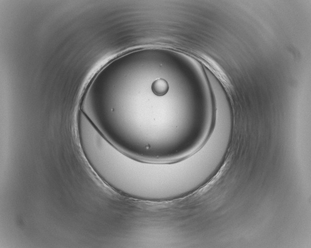 X0000116161196200912071318