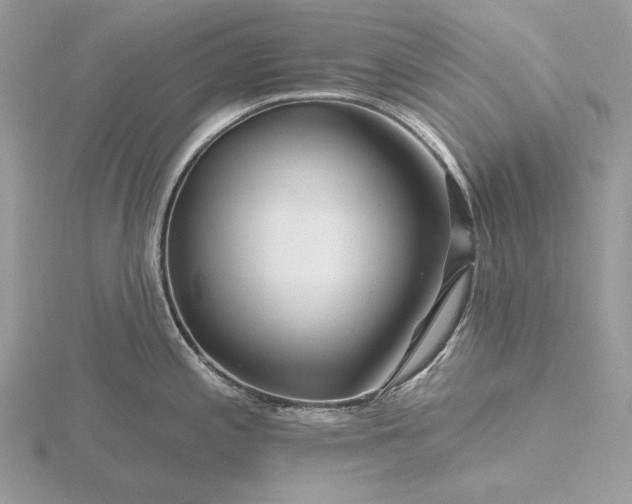 X0000116161197200912071318