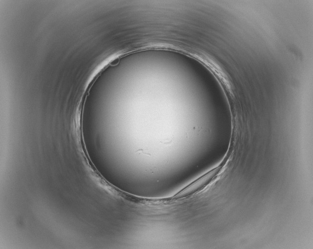 X0000116161198200912071318