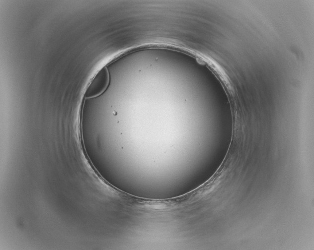 X0000116161199200912071318