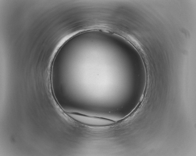 X0000116161200200912071318