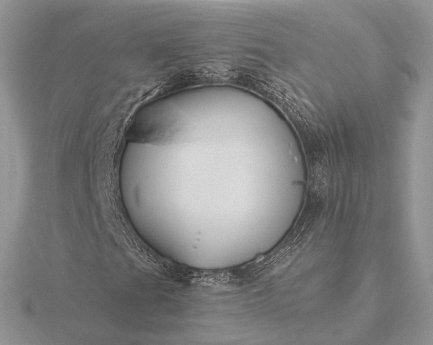 X0000116161201200912071317