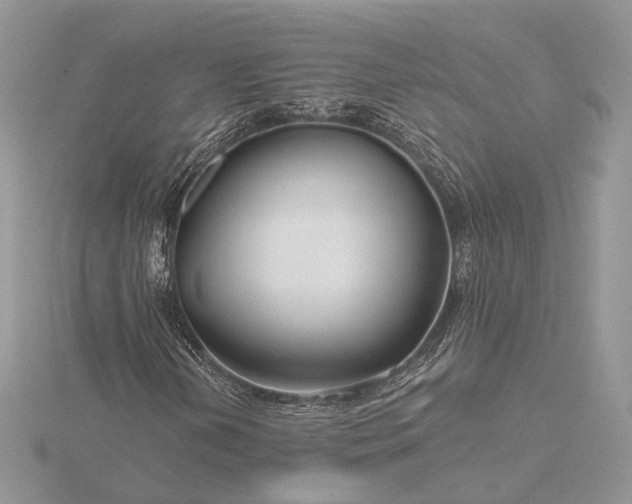 X0000116161202200912071317