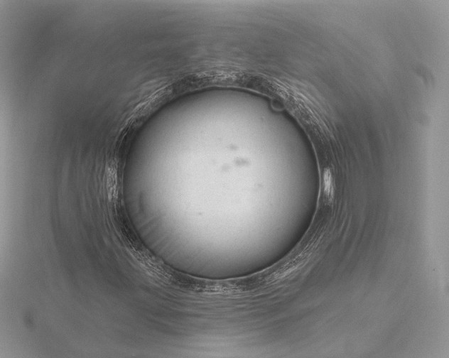 X0000116161203200912071317