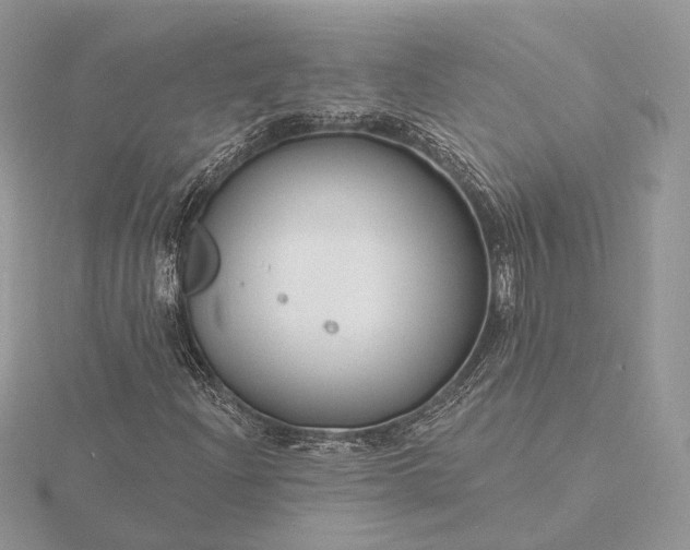 X0000116161204200912071317