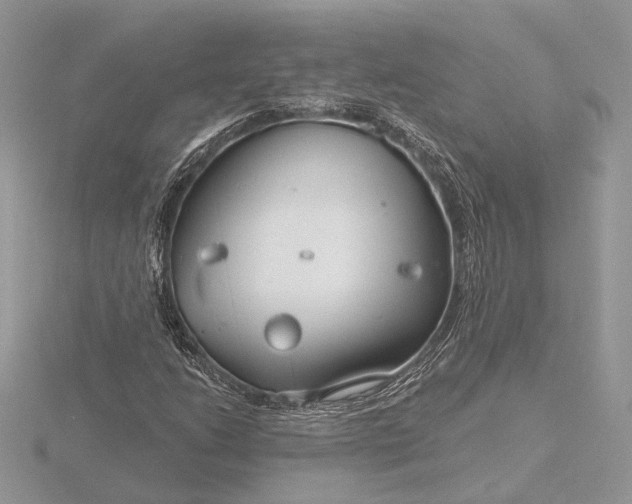 X0000116161206200912071317