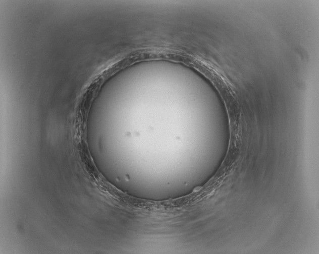 X0000116161207200912071317