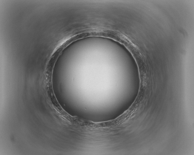 X0000116161208200912071317