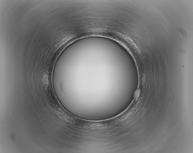 X0000116161209200912071317