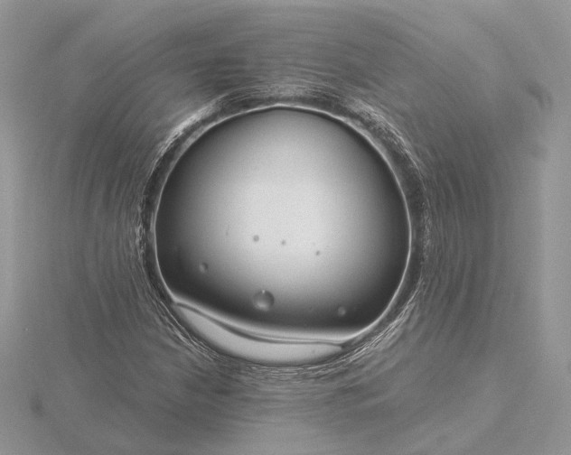 X0000116161210200912071317