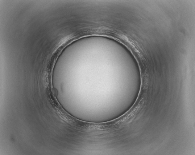 X0000116161211200912071317