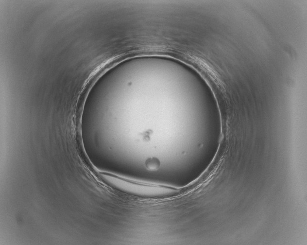 X0000116161212200912071317