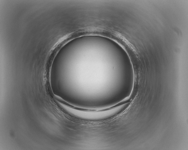 X0000116161213200912071317