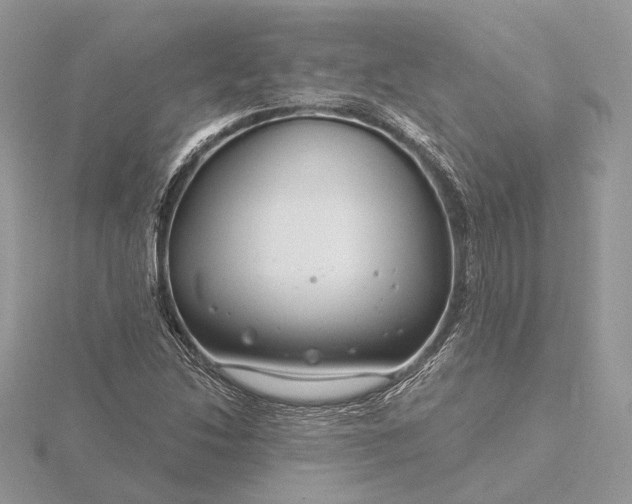 X0000116161214200912071317