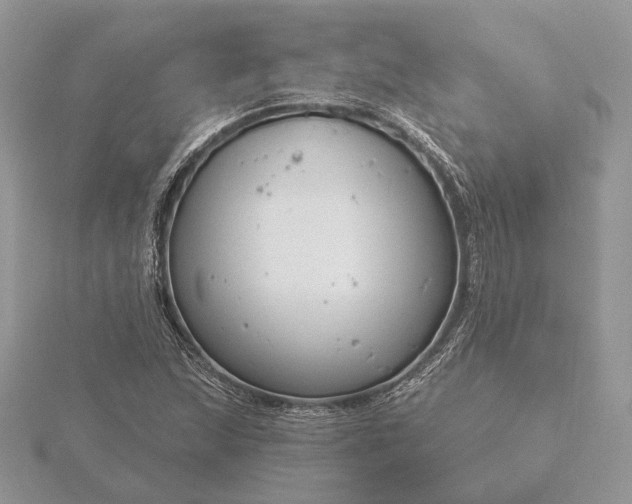 X0000116161215200912071318